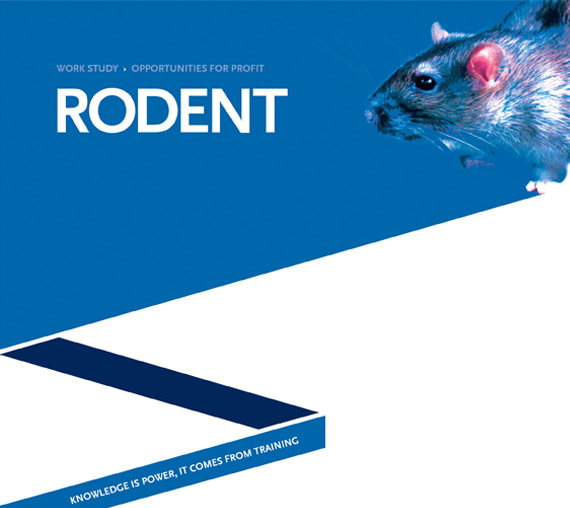 Rodent Work Study
