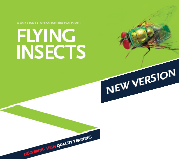 Fly_2016 Fly_2016