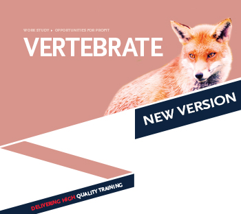 Vertebrate Graphic Vertebrate Graphic
