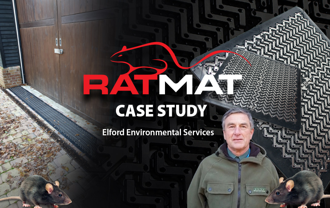 Rat-Mat-Case-Study-www