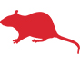 mouse mouse