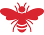wasp wasp