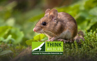 Rodenticide alert prompts reminder of permitted target species Rodenticide alert prompts reminder of permitted target species