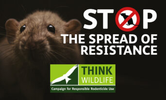 Free rodenticide resistance testing from CRRU