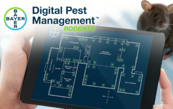 Bayer launch new rodent digital pest management system Bayer launch new rodent digital pest management system