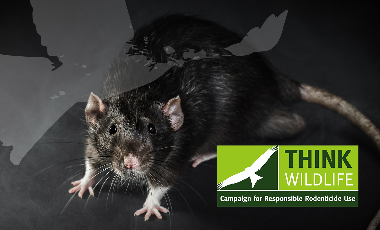 Cholecalciferol rodenticides covered by stewardship regime