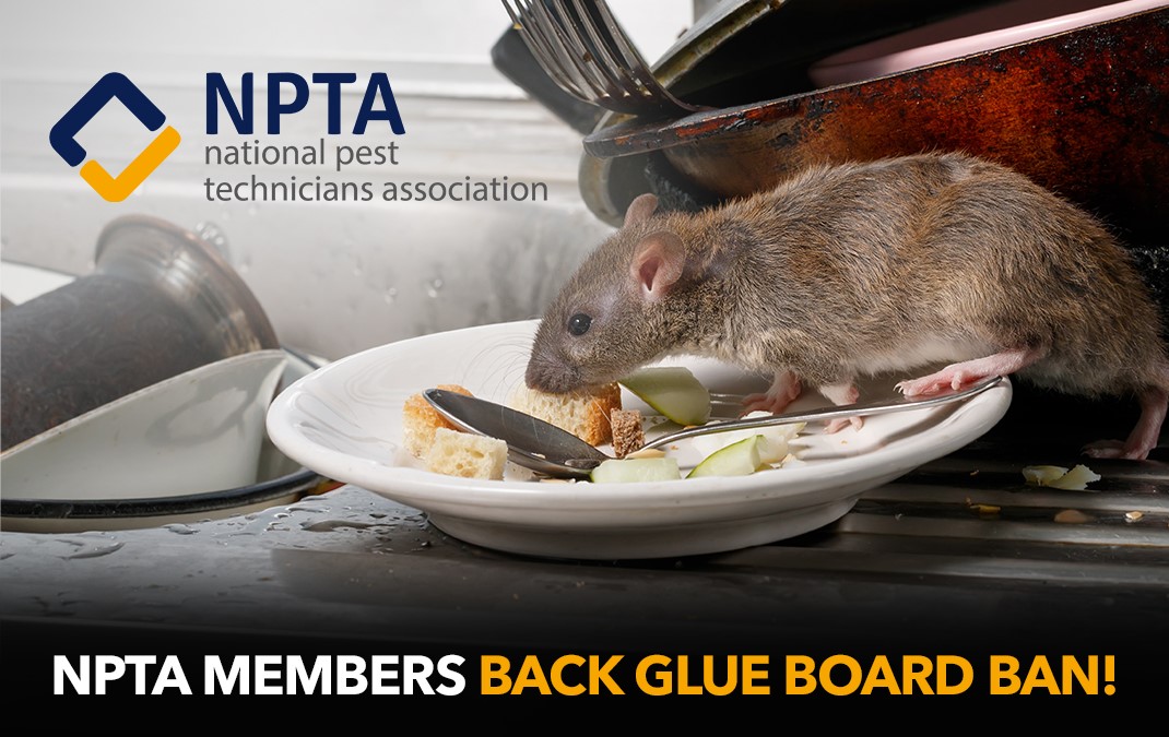 NPTA members show apathy to call to voice opinion on glue boards