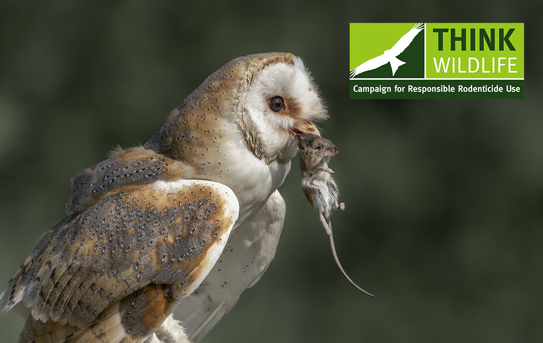 New rodenticide guidelines Future availability of professional baits