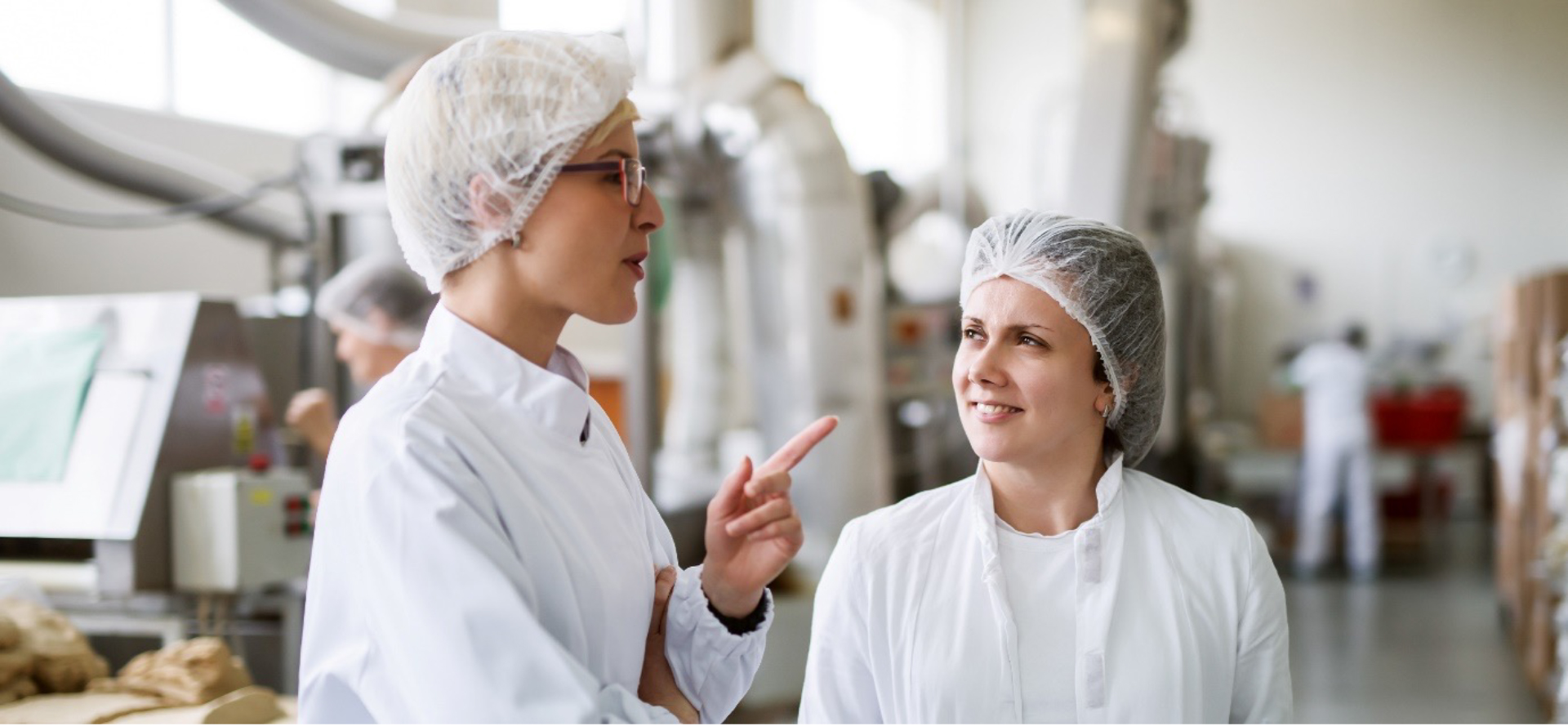 Ensuring Food Safety: The Vital Role of Pest Control