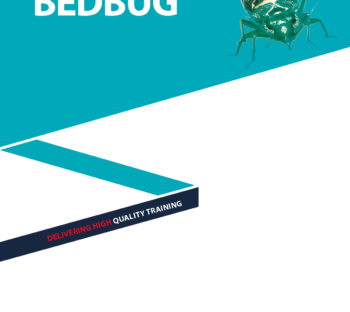 Bedbug-Work-Study-2023COV Bedbug-Work-Study-2023COV