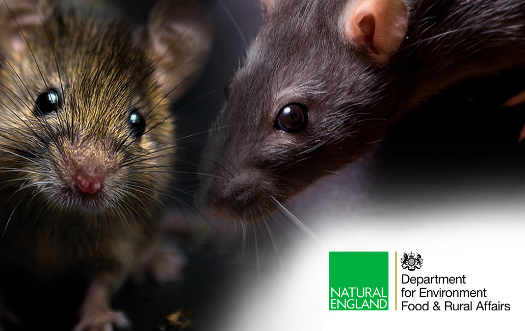 Key principles of the new licensing regime for use of Glue Traps in England